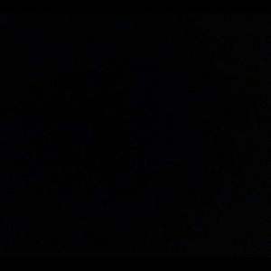 Meet your Posher, Dane